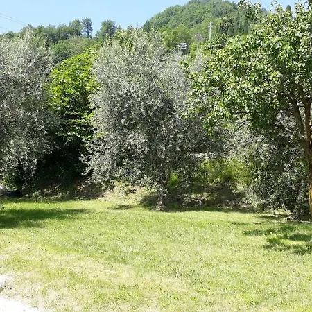 Casa Gina Garden And View By Gardadomusmea